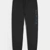 Χαλαροί τζόγκερ Alpine Graphic Fleece Χαλαροί τζόγκερ Alpine Graphic Fleece