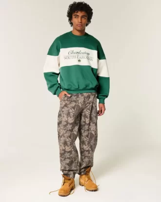 Φούτερ Baggy Cinch Charleston Graphic Crew