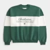 Φούτερ Baggy Cinch Charleston Graphic Crew