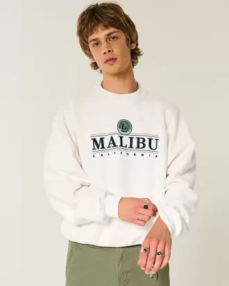 Φούτερ Baggy Cinch Malibu Graphic Crew