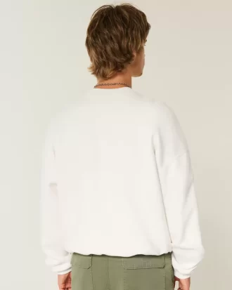 Φούτερ Baggy Cinch Malibu Graphic Crew