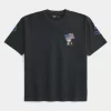 Boxy Snoopy USA Graphic Tee Boxy Snoopy USA Graphic Tee