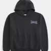 Boxy University of Washington Huskies Graphic Hoodie Boxy University of Washington Huskies Graphic Hoodie